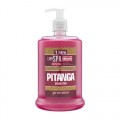 Sabonete Líquido Linn Spa Premisse Pitanga 1 Litro